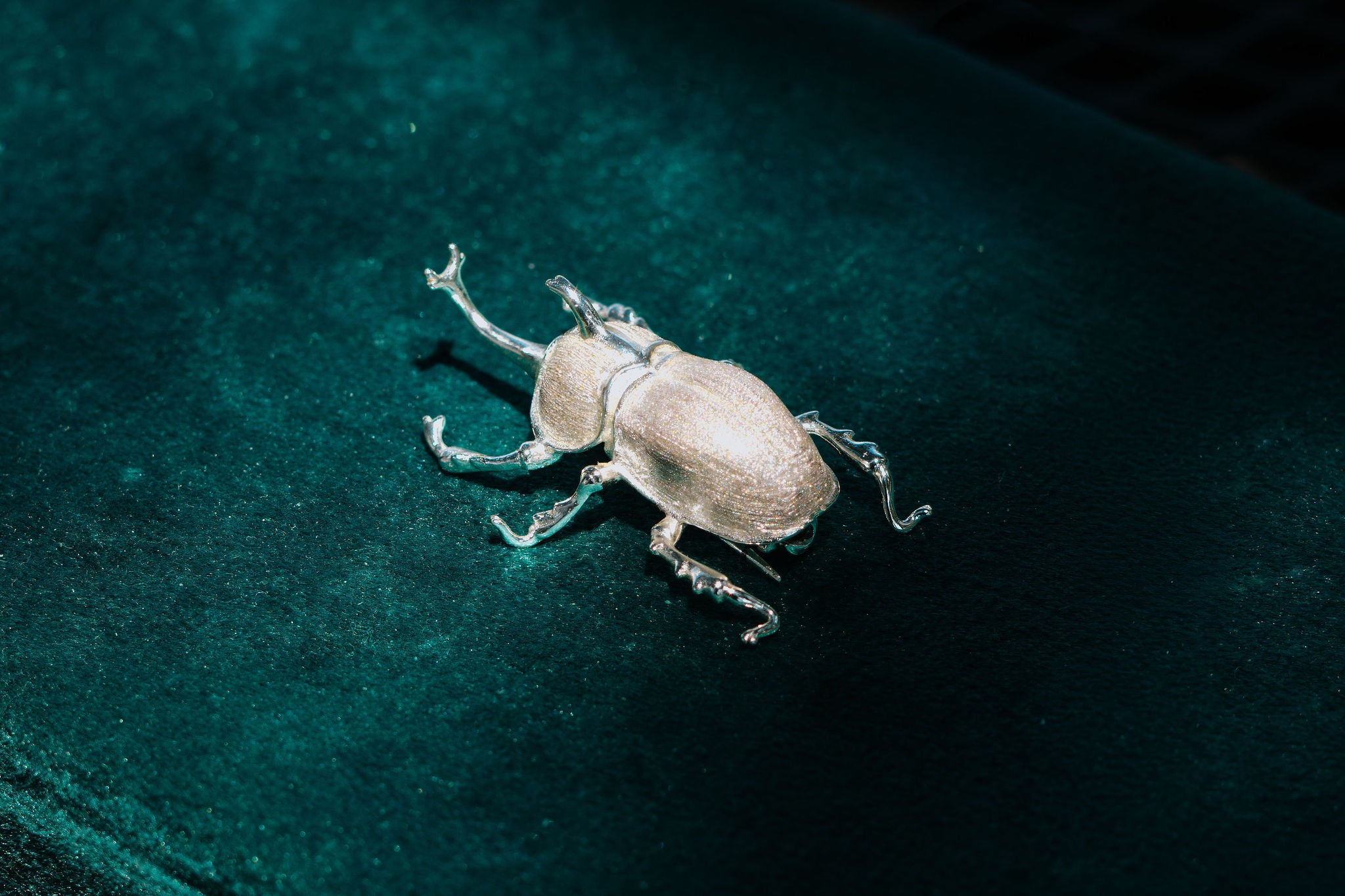 Escarabajo